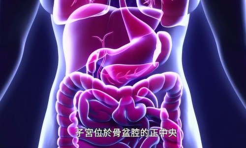 哺乳期能吃锡纸粉么网-分享哺乳期能吃大料吗，哺乳期能吃胃药吗对孩子有啥影响知识库