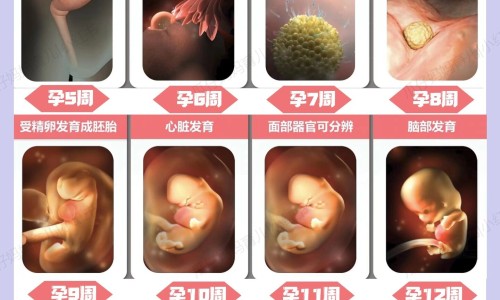 哺乳期能吃锡纸粉么网-分享哺乳期能吃大料吗，哺乳期能吃胃药吗对孩子有啥影响知识库